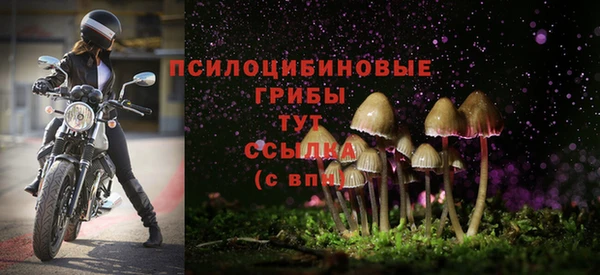 mdma Лиски