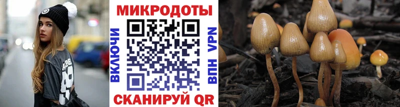 Купить закладки  Кирово-Чепецк  Псилоцибиновые грибы ЛСД 